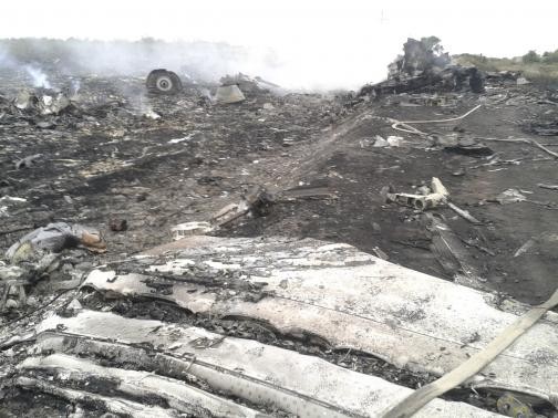 Hiện trường máy bay MH17 bị rơi.