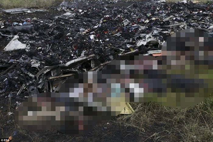 Các thi thể nạn nhân nằm ở khu vực máy bay rơi.