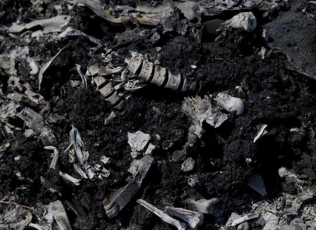 Phần còn lại của một nạn nhân nằm lẫn trong những mảnh vỡ đã cháy xém của chiếc Boeing 777 bị bắn rơi tại Ukraine.