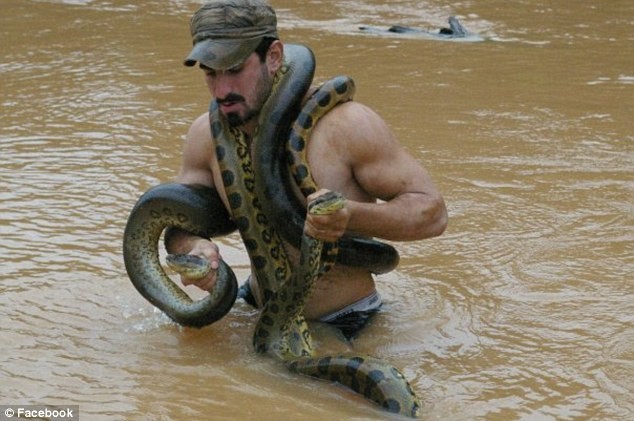 Mặc dù có rất ít bằng chứng cho thấy trăn Anaconda đã giết người, nhưng với kích thước khổng lồ của chúng thì nó hoàn toàn có thể nuốt một người đàn ông trưởng thành.