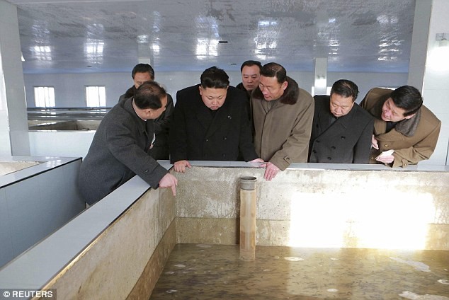 Nhà lãnh đạo Kim Jong-un thăm trang trại nuôi cá ở Bình Nhưỡng.