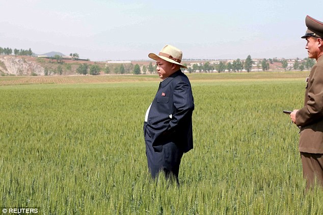 Ông Kim Jong-un đội mũ thời trang thăm ruộng lúa.