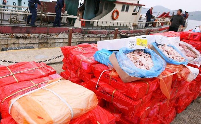 Thịt thối được hải quan Trung Quốc thu giữ trong chiến dịch truy quét các nhóm buôn lậu. Ảnh scmp.