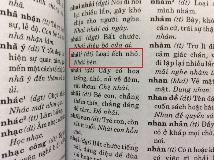 Một số từ dẫn trong cuốn Từ điển Tiếng Việt dành cho học sinh của hai tác giả Khắc Trí và Trọng Tấn. Ảnh Hồng Nhung