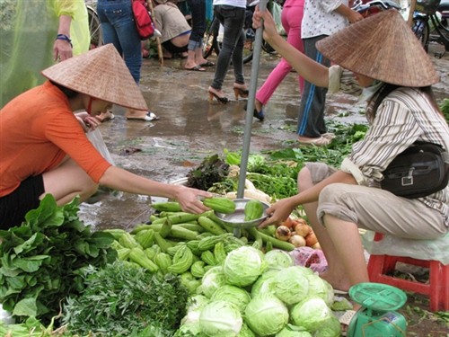 Những ngày gần đây, giá rau xanh tăng giá rất mạnh, từ 30% đến 50%. Ảnh: Tiền Phong.