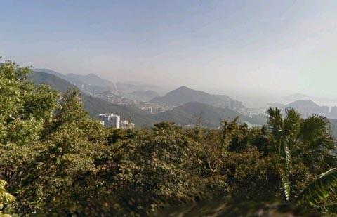 Bao phủ xung quanh bởi rừng cây xanh lá, các căn biệt thự tại khu vực này nhìn xuống trung tâm Hong Kong nhộn nhịp.