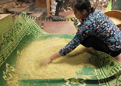 Thời gian qua, việc phát hiện cốm làng Vòng - thực phẩm được xem là tinh hoa quà Việt nhuộm phẩm màu, khiến nhiều người tiêu dùng trong và ngoài nước mất niềm tin.
