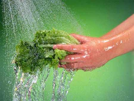 Theo TS Hoàng Kim Thanh, rửa rau đúng cách là rửa trực tiếp dưới vòi nước hoặc rửa trong chậu to nhiều nước sạch 03 lần.