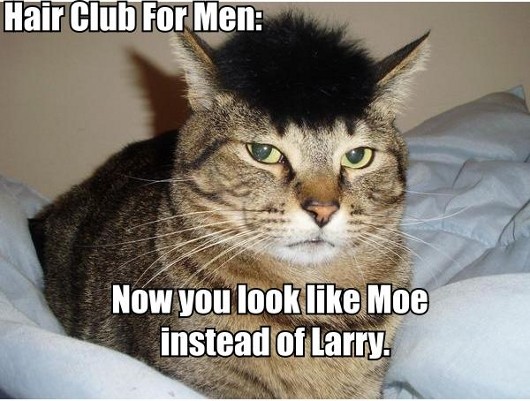 Một quảng cáo vui của Hair Club for Men: Giờ trông chú mày giống Moe hơn là Larry rồi đấy