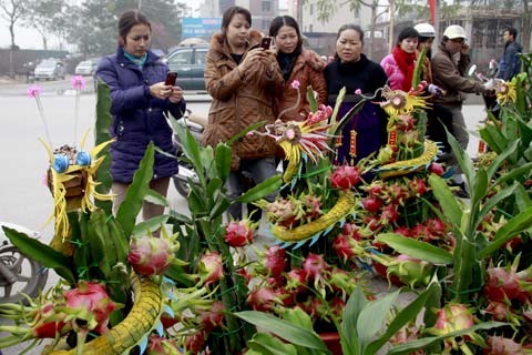 Từ khoảng 2 năm nay, vào dịp Tết, tại Hà Nội xuất hiện nhiều quầy bán thanh long cảnh. Năm Nhâm Thìn, loại quả được gắn thêm rồng như thế này đang thu hút nhiều người mua...