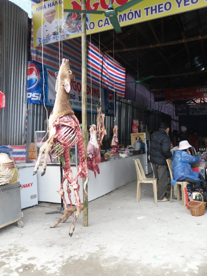 Nhằm giải quyết “vấn nạn” này, Thanh tra Bộ VH-TT&DL đã yêu cầu Ban BTC Lễ hội chùa Hương kiên quyết xử lý nghiêm những hàng quán treo thịt thú rừng trước cửa. Tuy nhiên trong mùa lễ hội năm nay, tình trạng treo ngược thịt thú và xẻ thịt ngay tại chỗ vẫn công khai tồn tại.