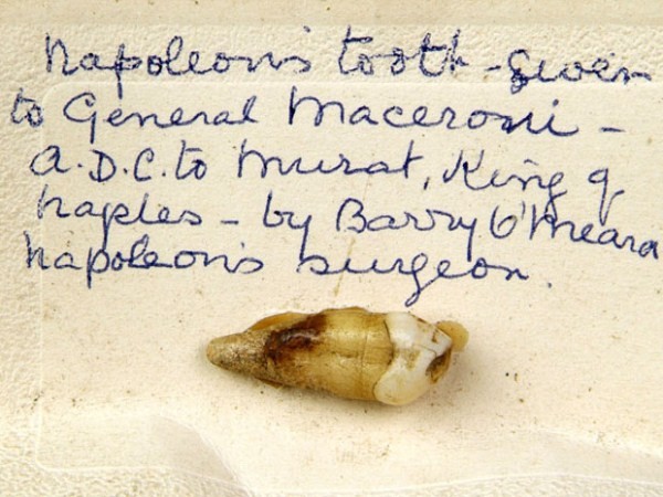 Chiếc răng nanh bên phải của Napoleon Bonaparte. Tại một cuộc đấu giá ở Wiltshire tháng 11/2005, nó được bán với giá 11.000 bảng Anh.