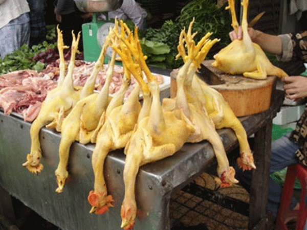 Thịt gà không có dấu kiểm dịch bày bán tràn lan tại các chợ trong Hà Nội.