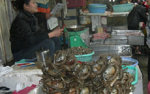 Khi mua hải sản cần chọn hải sản tươi sống và cần chế biến chín kỹ trước khi ăn.