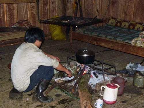 Công nhân vườn ươm nấu ăn tại chỗ để quản lý sâm