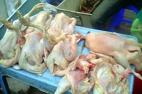Theo ông Đăng, lượng gia cầm bán ra ở chợ Hà Vỹ khoảng 70.000 con/ngày, trong đó gà loại thải của Trung Quốc chiếm hơn chục tấn.