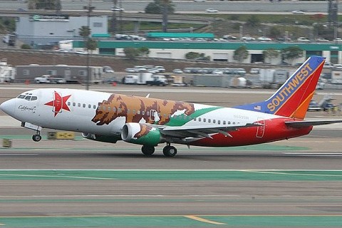 Hãng máy bay giá rẻ lớn nhất của Mỹ Southwest Airlines đưa hình chú gấu nam Mỹ lên thân máy bay.