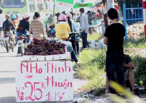 Sau khi bị lật tẩy "nho Mỹ" có xuất xứ từ Trung Quốc, những người bán dạo dọc trên xa lộ Hà Nội lại "hô biến" thành nho Ninh Thuận nhưng giá vẫn không thay đổi