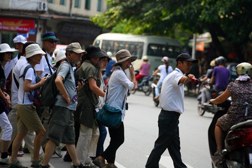 Thường xuyên băng sang đường để thăm thú Hà Nội, đoàn khách này cũng dần quen với việc đi bộ giữa làn xe cộ đông đúc.