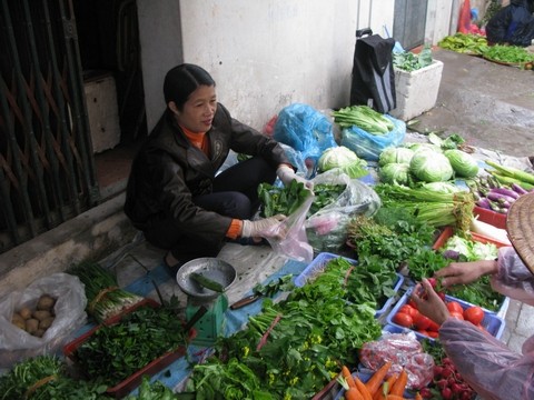 Chỉ nên mua những loại rau củ quả đúng mùa để tránh mua phải hàng Trung Quốc