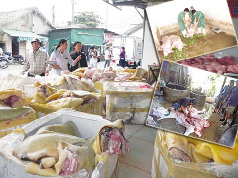Lô hàng thịt lợn rừng giả được vận chuyển vào TP.Hồ Chí Minh tiêu thụ bị các lực lượng chức năng thu giữ