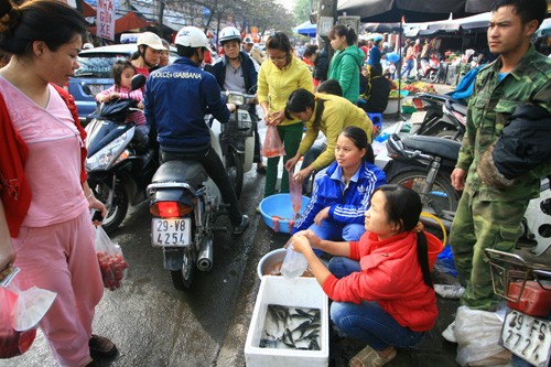 Sáng nay (3/2) người dân Thủ đô đi mua cá chép đỏ làm phương tiện cho ông Công, ông Táo chầu trời.