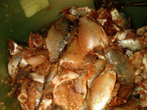 Cá chết ươn bốc mùi sau quy trình "phù phép" bằng axit chanh để tẩy mùi, được đưa vào tầm ướp gia vị