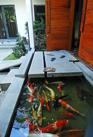 Ngay lối ra vào được chủ căn nhà trang bị một hồ cá nhỏ. Những chú cá bơi lội giúp chủ nhân xua tan phần nào mệt mỏi khi trở về nhà sau công việc kinh doanh căng thẳng.