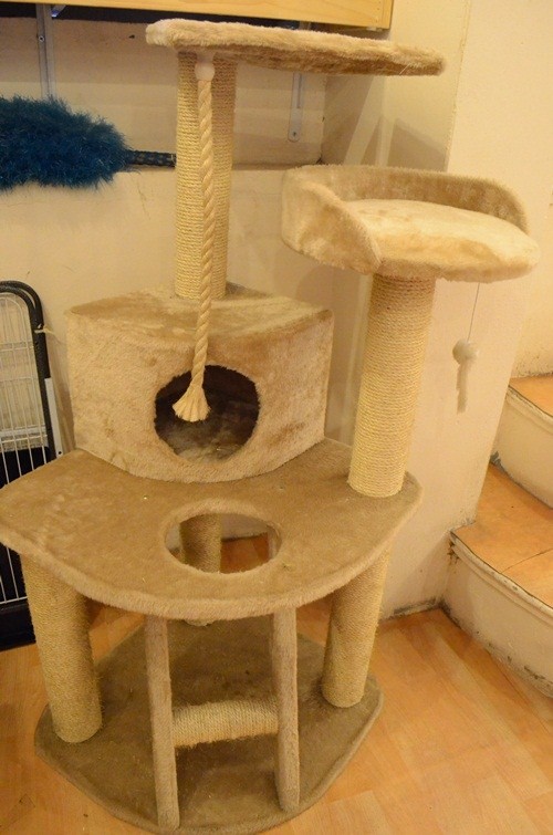 Nhà mèo - một bộ "vui chơi giải trí" cho mèo (hoặc động vật nhỏ) có giá 2,6 triệu đồng.