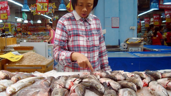 Một phụ nữ đang chọn cá trong siêu thị ở TP Tô Châu, Trung Quốc - Ảnh: AFP