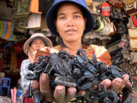 Chị Năm, ở Tịnh Biên-An Giang, đang bắt hàng chục con bọ cạp trên hai bàn tay trần mà không hề sợ bi loài côn trùng dữ này tấn công, nơi chị bán hàng là chợ cửa khẩu Quốc tế Tịnh Biên – An Giang.
