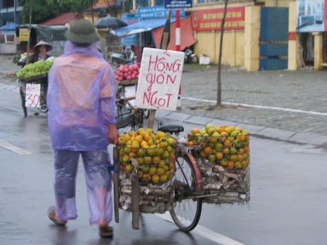 Trái cây lấy từ chợ đầu mối Long Biên đang len lỏi trên khắp các ngõ ngách Hà Nội.