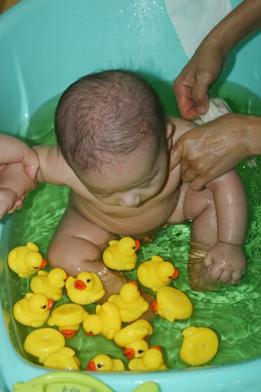 Các bé cực kì thích thú với vịt cao su nhỏ nhỏ, xinh xinh khi tắm.