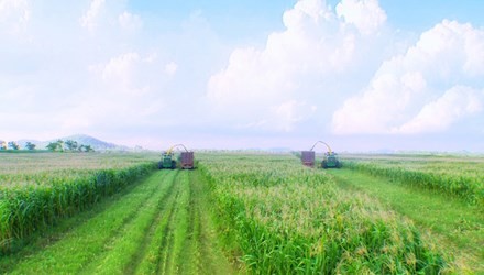 Tập đoàn TH đã đặt những viên gạch đầu tiên cho cuộc cách mạng ứng dụng công nghệ cao, quy mô lớn trong nông nghiệp.