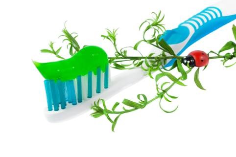 Người tiêu dùng nên chọn các sản phẩm chăm sóc răng miệng có chiết xuất từ thảo dược tự nhiên để bảo vệ sức khỏe của chính mình. Ảnh: flickr.com