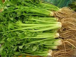 Vì rất giàu các chất có hiệu lực nên cần tây còn có một tên gọi khác là celery, theo nghĩa Latin là “tác động nhanh”.