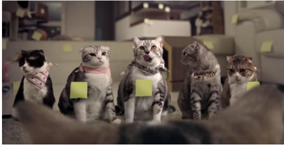 Yếu tố hài hước, dễ thương được thể hiện qua hình ảnh biệt đội mèo đang bàn mưu tình kế thoát khỏi chuyện tắm rửa trong một clip Thái Lan mang tên “Mèo mập và đồng bọn”.