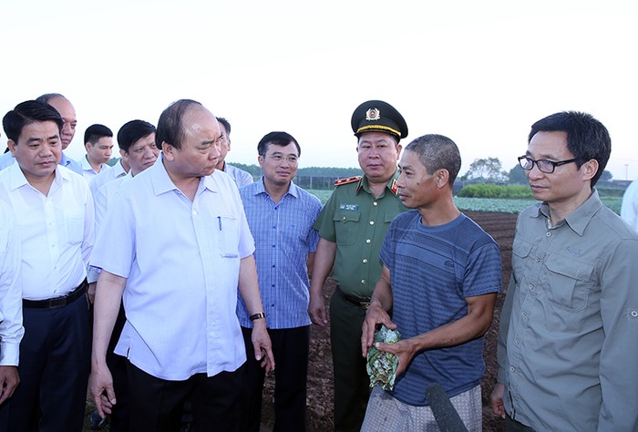 Thủ tướng Nguyễn Xuân Phúc thăm một cánh đồng sản xuất rau an toàn tại xã Văn Đức, huyện Gia Lâm. Ảnh VGP