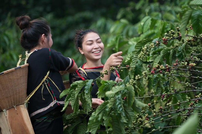 Với những người yêu cà phê Việt, nếu được hỏi cà phê ở đâu ngon nhất Việt Nam, câu trả lời sẽ là cà phê Buôn Mê Thuột.