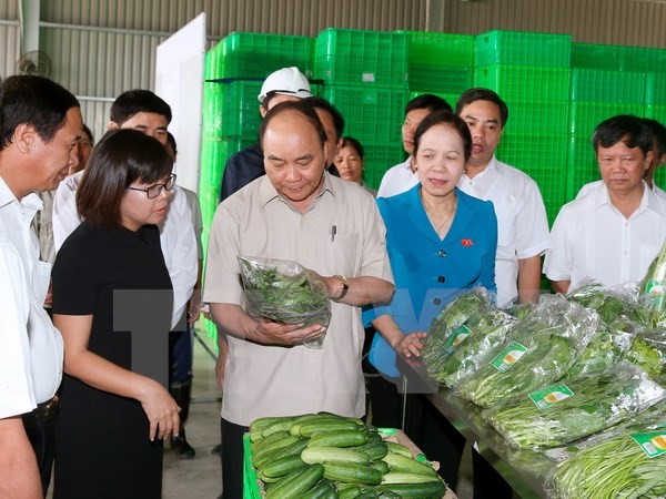 Thủ tướng Nguyễn Xuân Phúc thăm Dự án đầu tư nông nghiệp ứng dụng công nghệ cao Vineco Hải Phòng. (Ảnh: Thống Nhất/TTXVN).