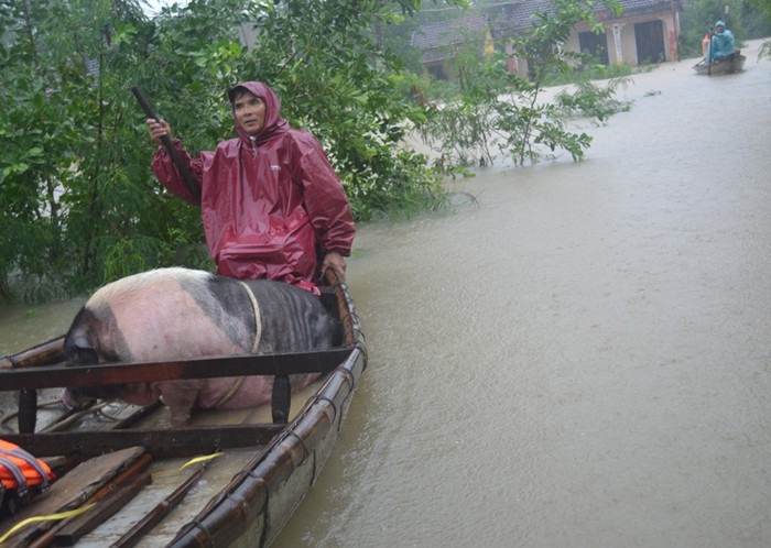 Đợt mưa lũ vừa qua gây thiệt hại nặng nề cho các tỉnh miền Trung - Tây Nguyên (Ảnh: AN)