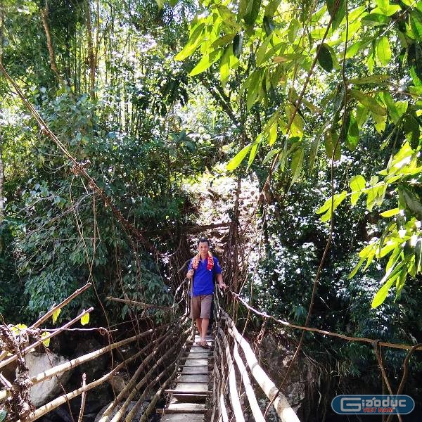 Đường vào điểm trường thôn 5 (Trà Dơn) phải đi bộ hơn 6 tiếng đường rừng, vượt qua nhiều khe suối.
