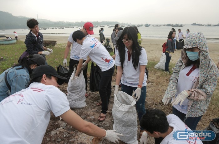 Sinh viên chương trình ADP (Đại học Duy Tân) tham gia làm sạch bãi biển Mỹ Khê (Đà Nẵng) chào đón APEC 2017. Ảnh: TT
