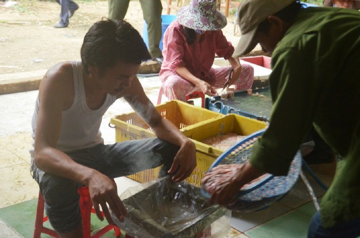 Một cơ sở chế biến thực phẩm bẩn ở Đà Nẵng bị phát hiện. Ảnh: TT