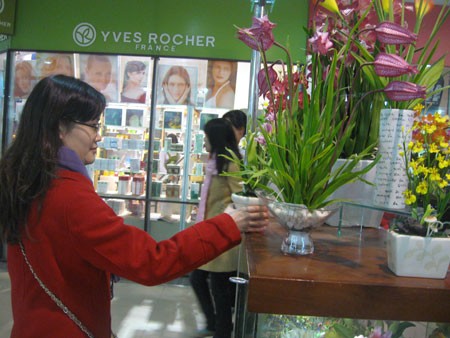 Khách chọn hoa giả chơi Tết tại siêu thị BigC Thăng Long