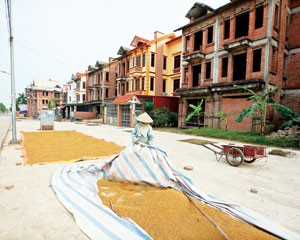 Hàng chục biệt thự tại quận Long Biên (TP. Hà Nội) xây thô xong từ lâu, đến nay vẫn vắng bóng chủ nhân.
