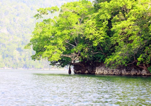 Giá trị lớn nhất của Hồ Ba Bể là cảnh quan địa chất độc đáo, giá trị nổi bật về địa chất địa mạo và giá trị to lớn về đa dạng sinh học. Đây là hồ nước ngọt thiên nhiên lớn nhất Việt Nam.