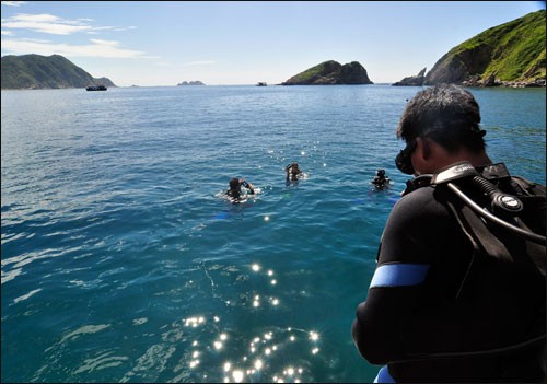 Du khách có thể lặn xuống đáy biển để thưởng ngoạn những sinh vật của đại dương.