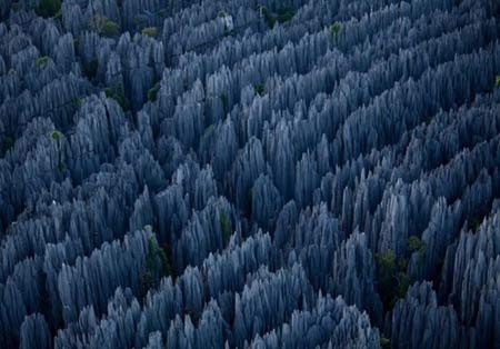 Rừng đá vôi Tsingy nằm trong công viên quốc gia Tsingy de Bemaraha của Madagascar được UNESCO công nhân là di sản thiên nhiên thế giới vào năm 1990.