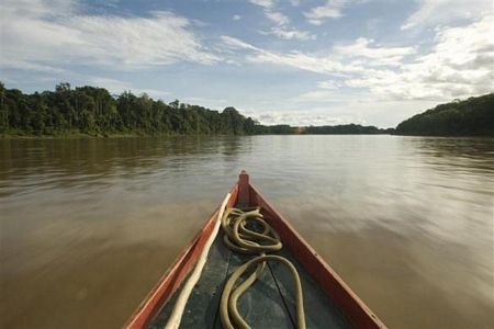 Khám phá sông Bajo Madre de Dios ở Peru bằng xuồng máy để tận hưởng cảm giác sông nước huyền bí